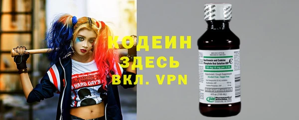 apvp Няндома