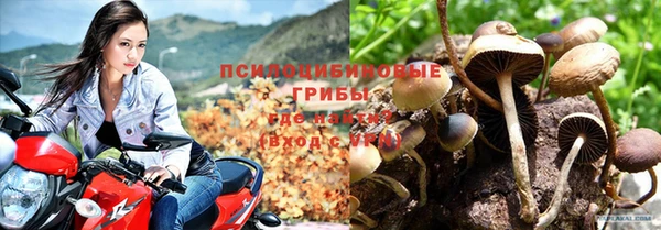 амф Аркадак