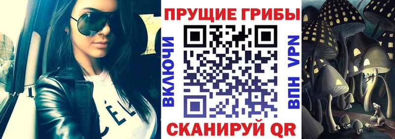Галлюциногенные грибы Cubensis  Сясьстрой 
