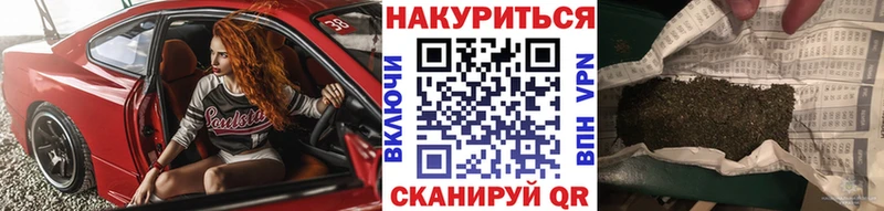 Бошки Шишки конопля  где найти наркотики  Сясьстрой 